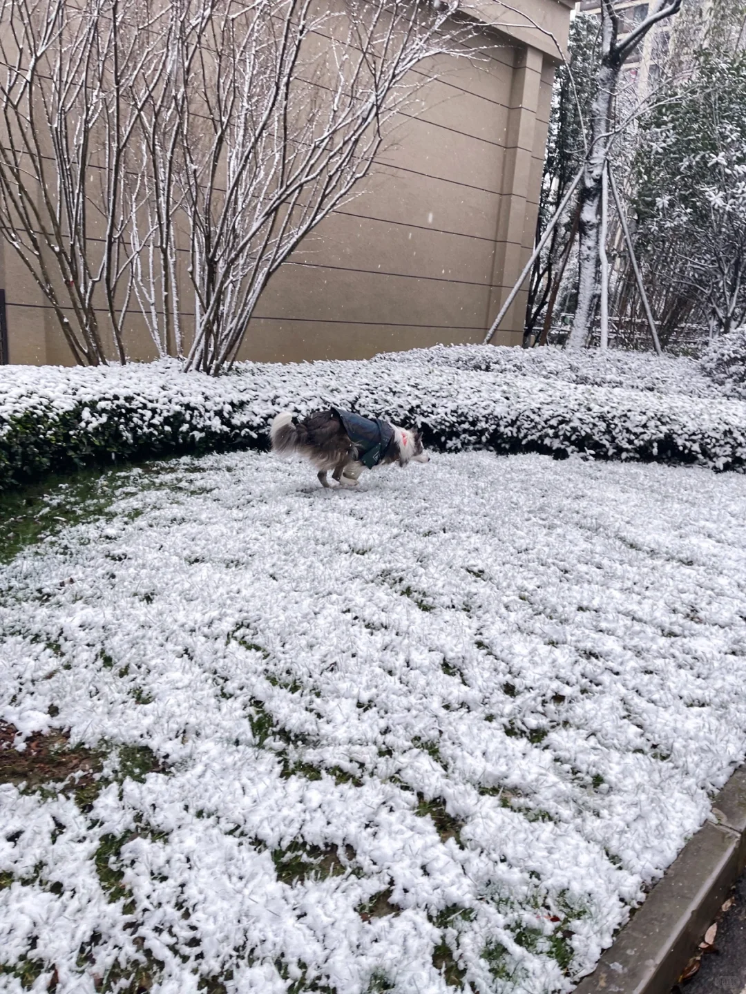 贵阳下雪啦！！❄️