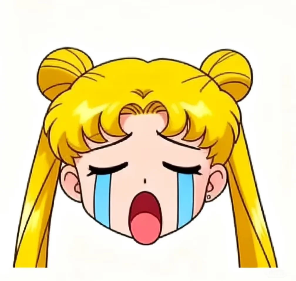 表情包_美少女战士_月野兔2