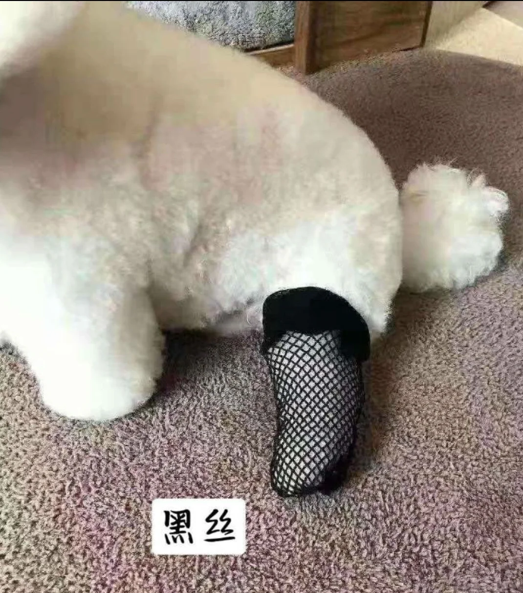 别人的黑丝vs我的黑丝