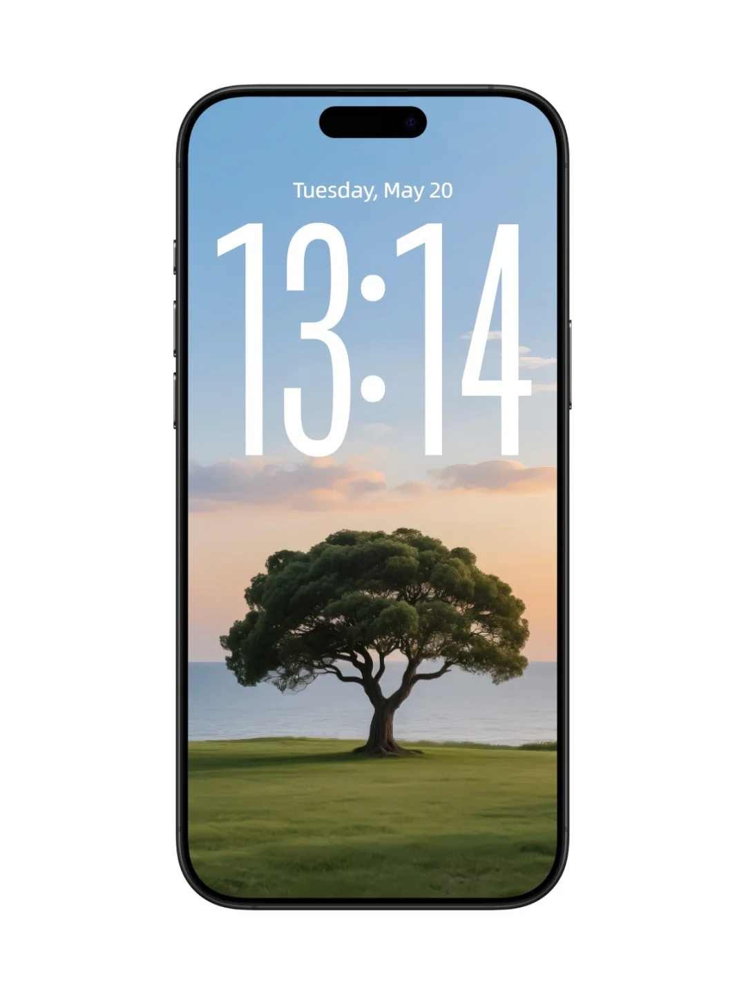 从自然中获取一些平静而强大的力量吧🌲