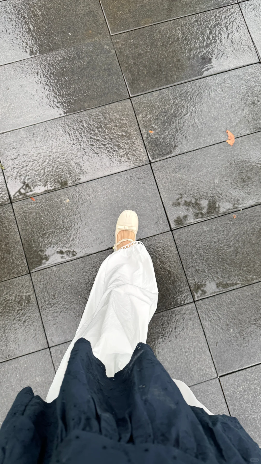 刷到我的小红书 你就是我最尊贵的客人