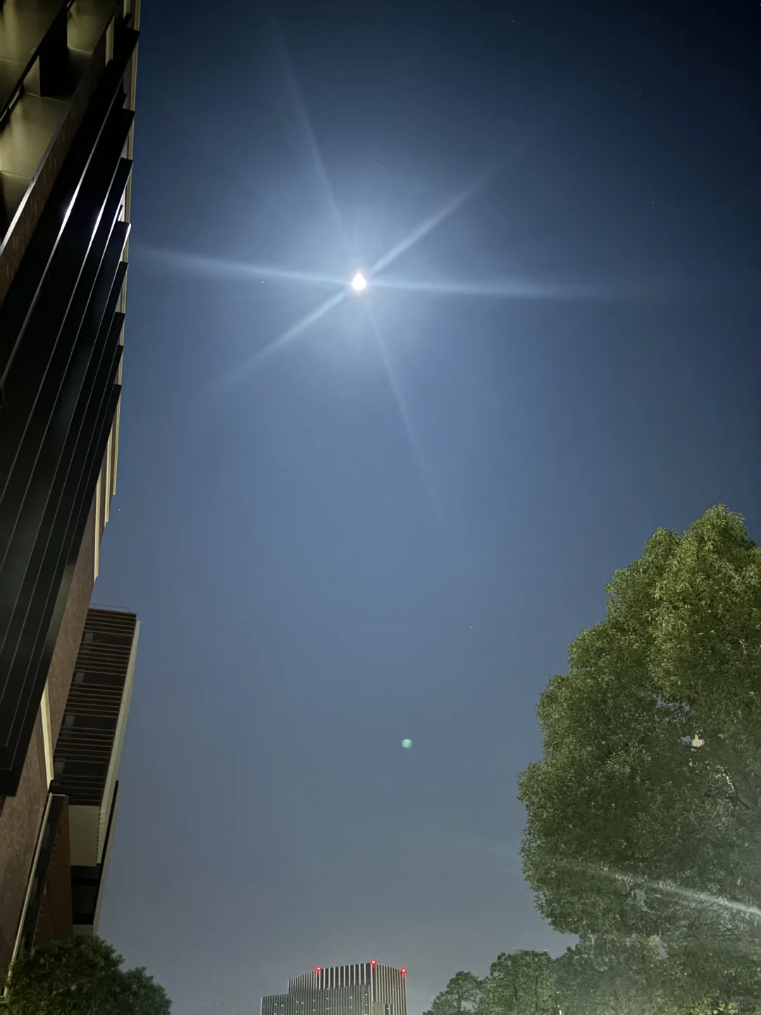 朋友圈不好意思发的，就在这里记录。