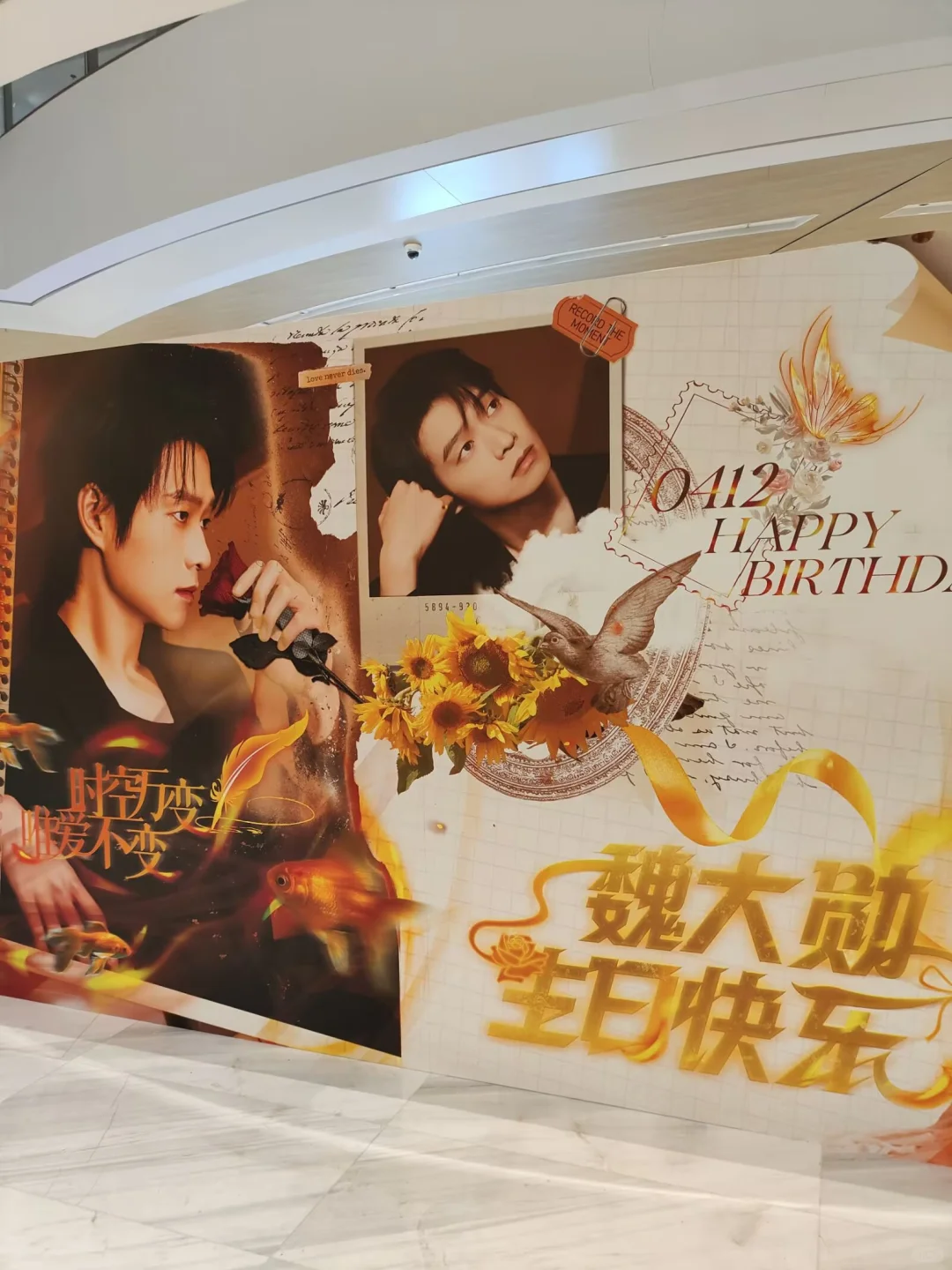 177～我想向全世界安利魏大勋！！