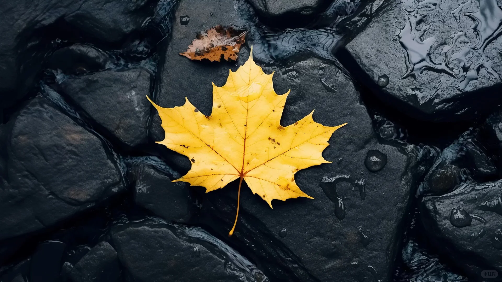 动态壁纸分享第159期