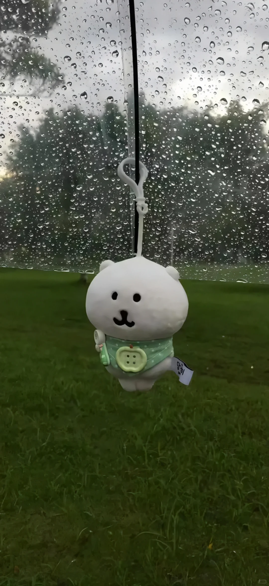 🚏 ෆ 𝄀 * ੯‧̀͡⬮ 𝄀 杂七杂八壁纸🫧
