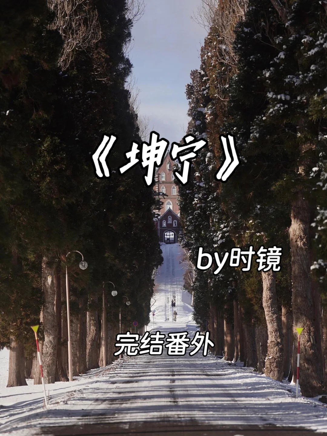 《坤宁》❤️冷傲娇艳心机女 x 疯批偏执帝师