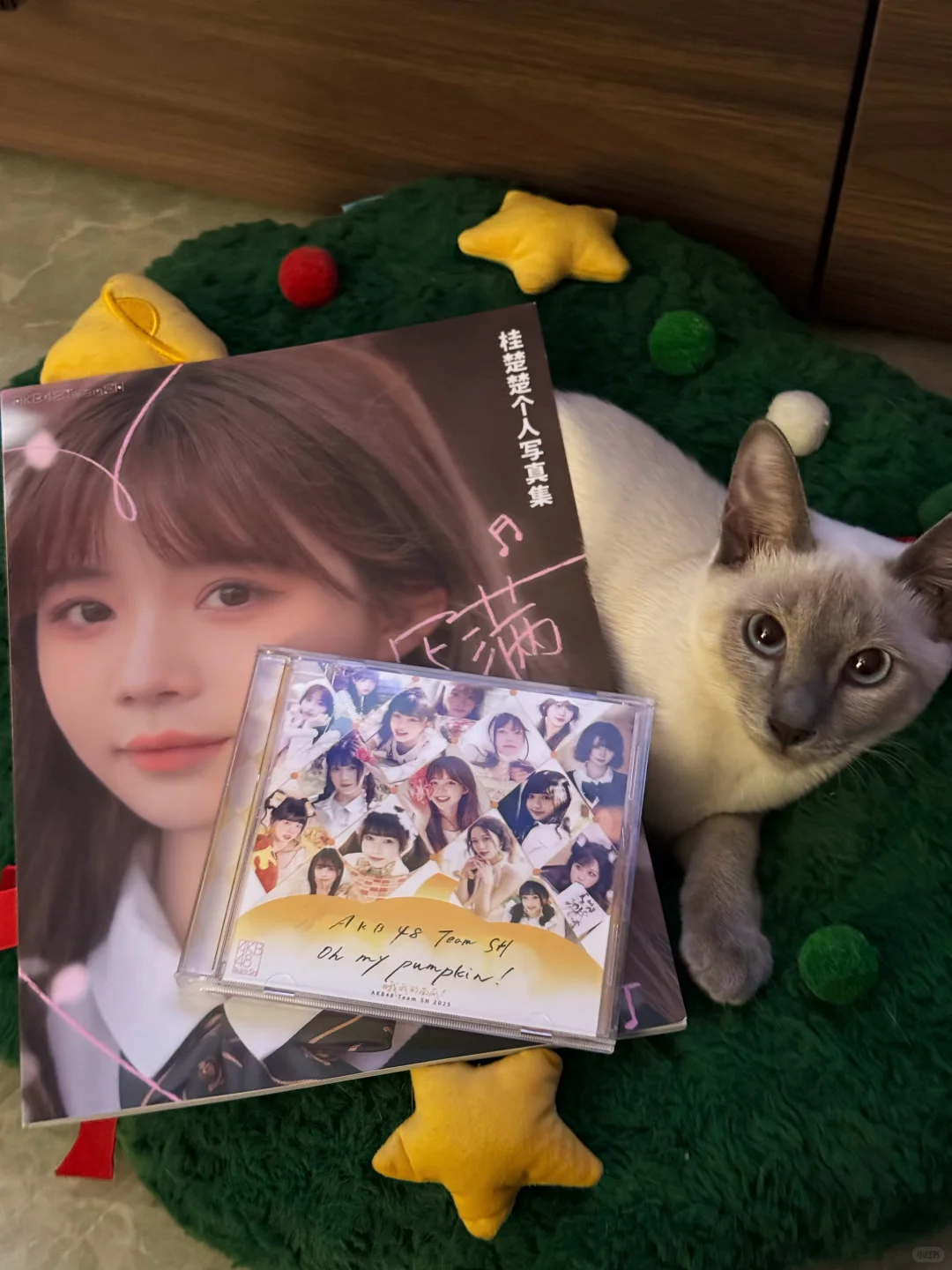 拿到楚楚写真集啦💕