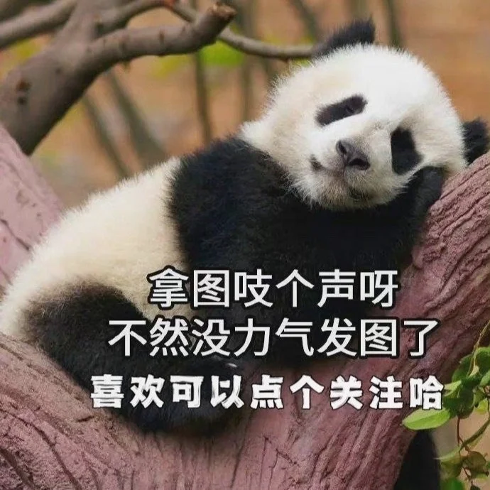 𝗪𝗲𝗖𝗵𝗮𝘁 | 绝美女生头像❤