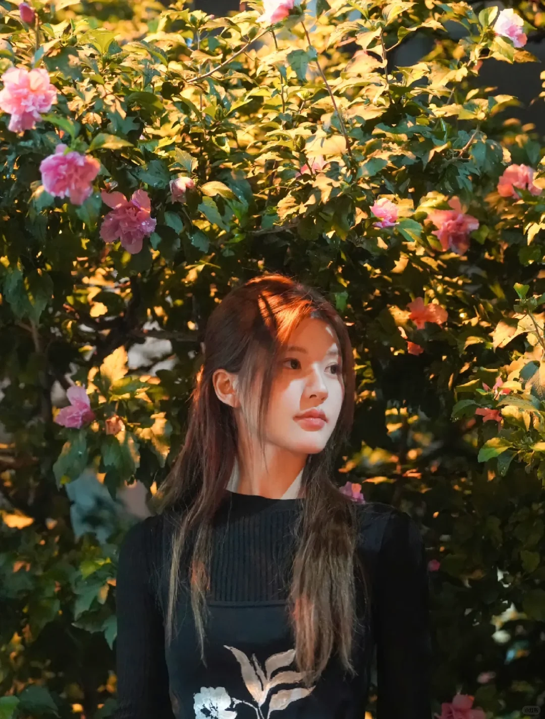 热烈而又清醒的许妍女士