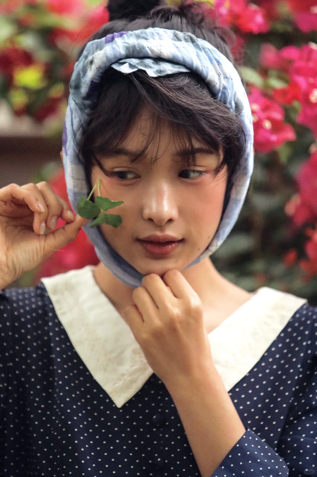 为什么我发小🍠就没人看呢？