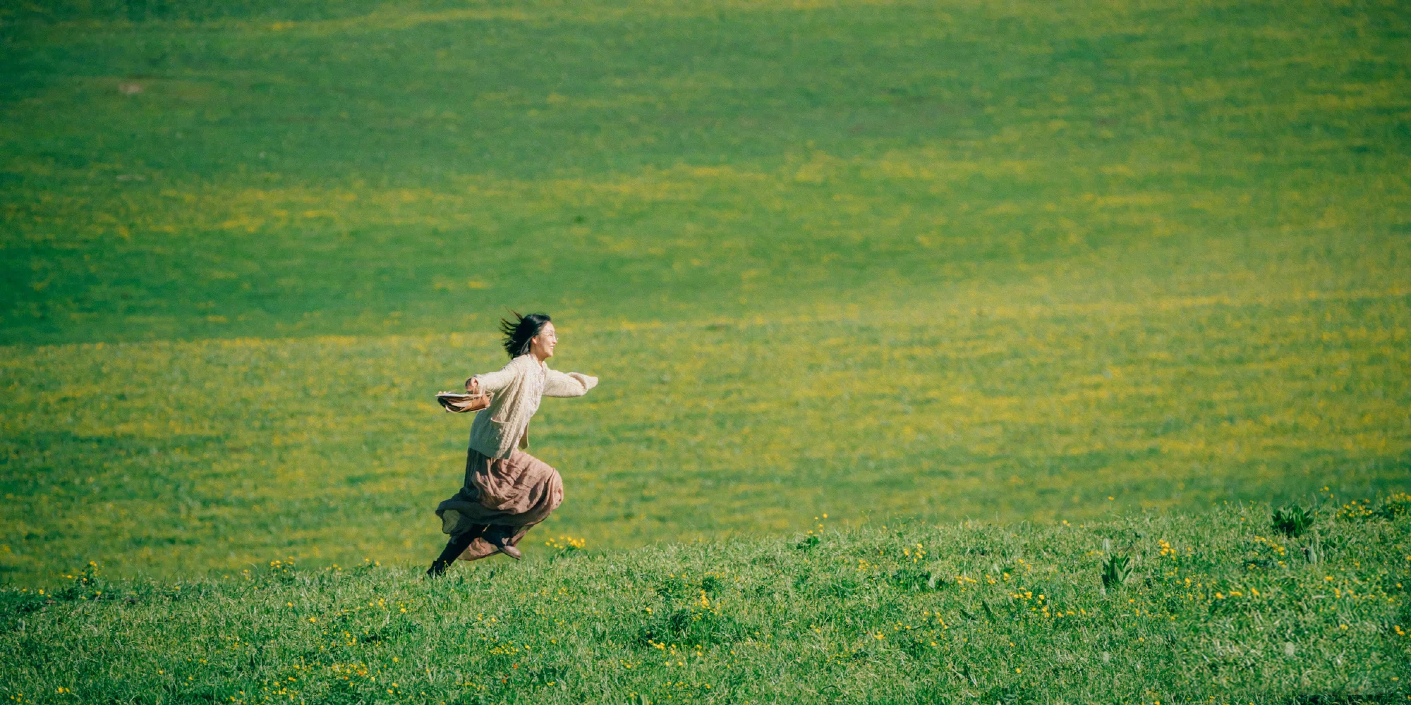 电脑壁纸|人生如旷野，自由和答案都在风里