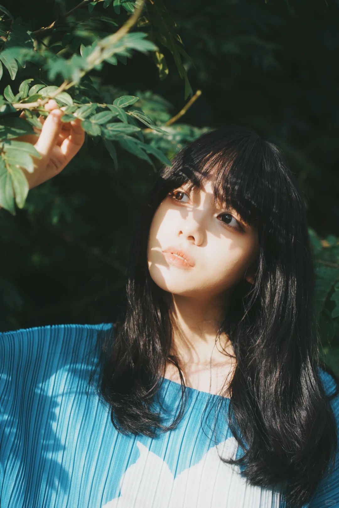 短暂的夏天