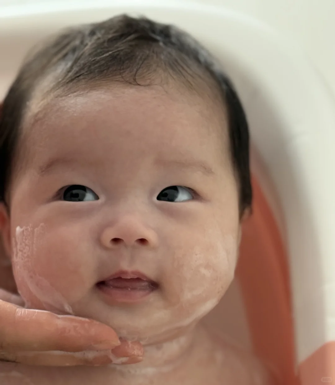 《一一的美照》