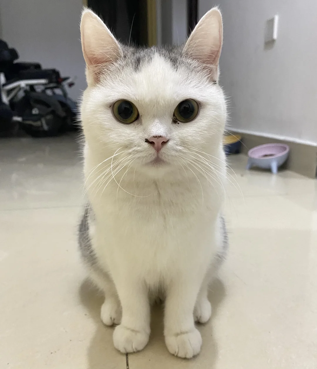 两岁了，全家都觉得她是个美人胚子