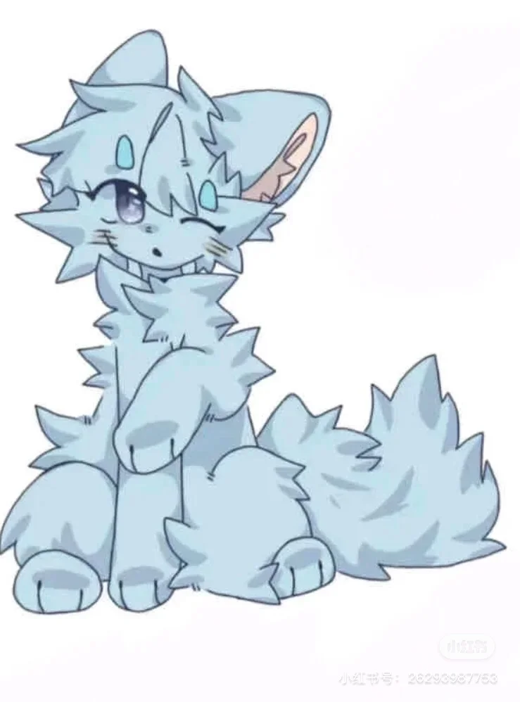 灵星/杉雪部落招猫啦！