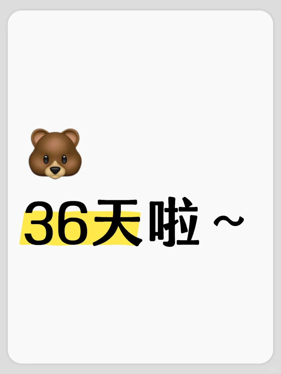 有🐻了🥳