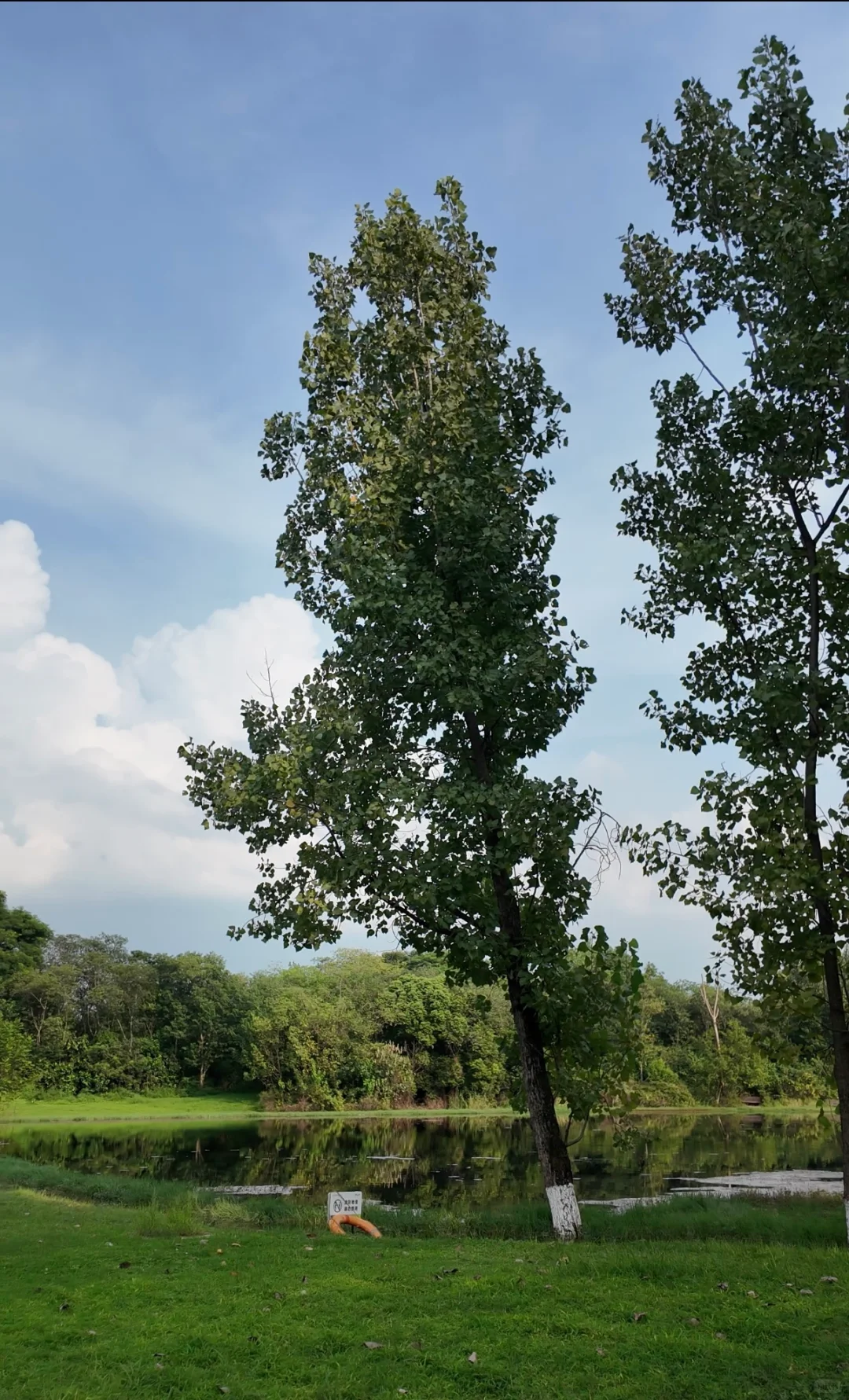 晒太阳时长1.5h，幸福值100%