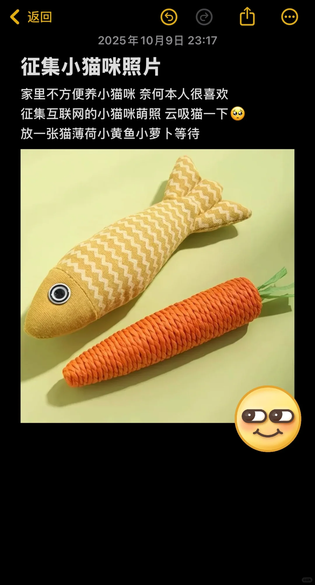 寻找全世界萌萌的咪咪