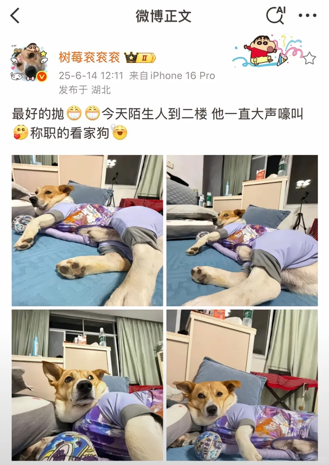 看见树莓贝贝最新视频起鸡皮疙瘩了。。