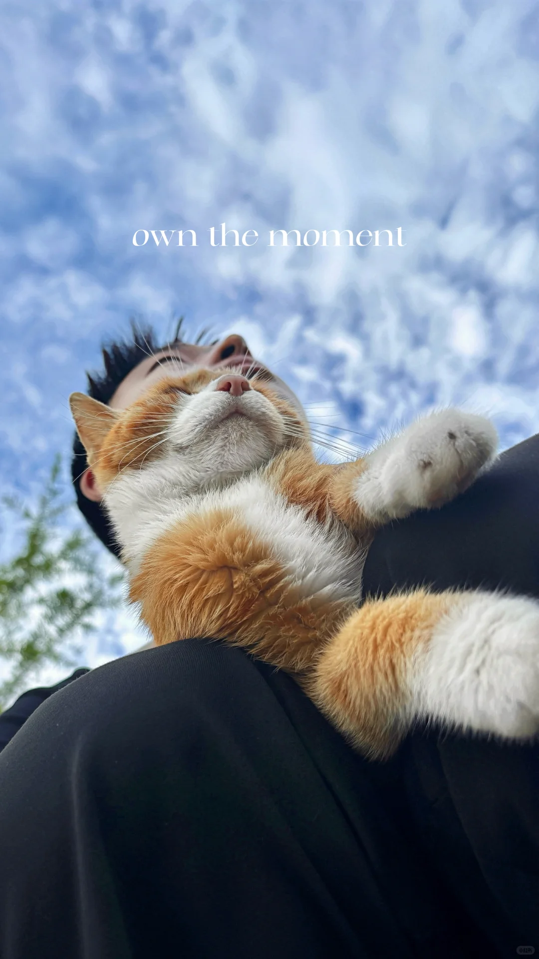 人类需要很多晴天和阳光