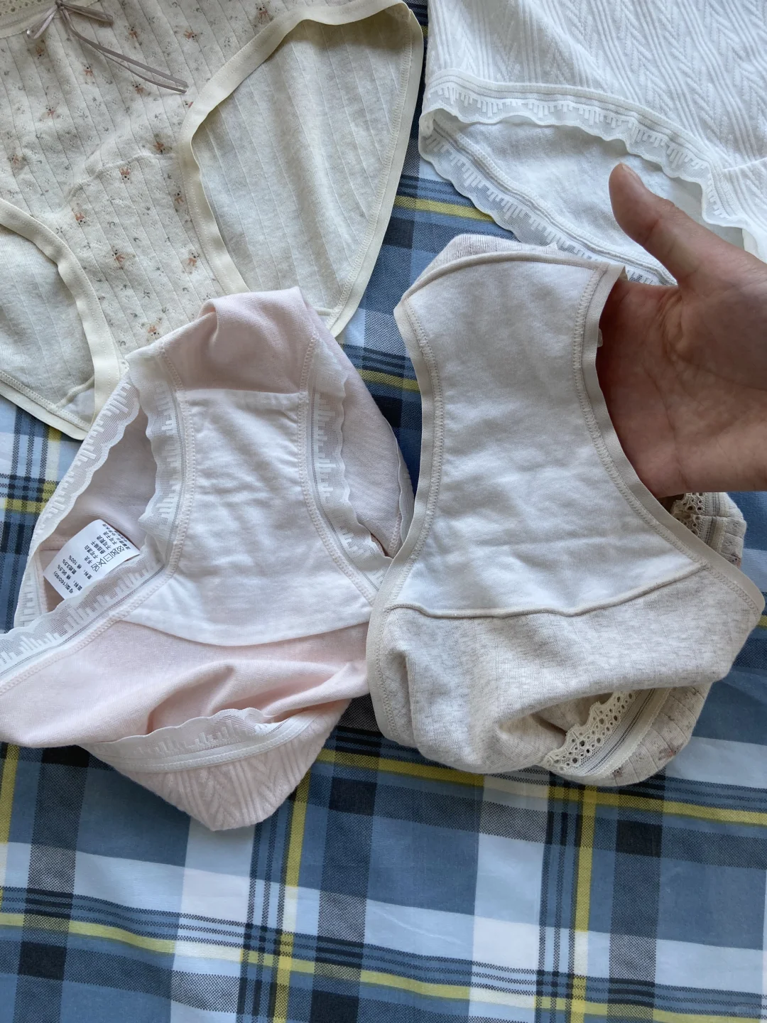 现在蕾丝内裤已经进化成这样了吗