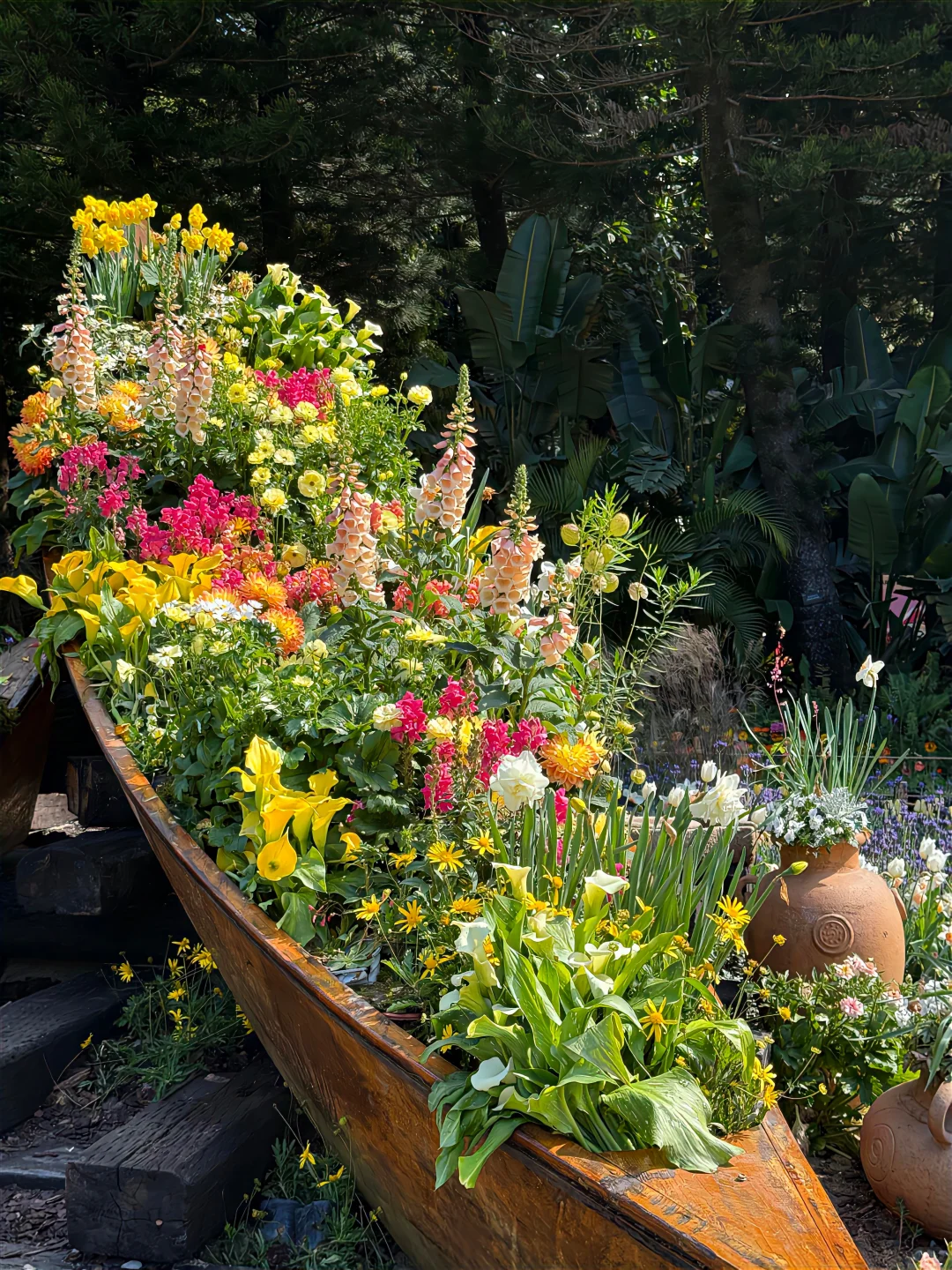 枯木逢春🟤壁纸分享