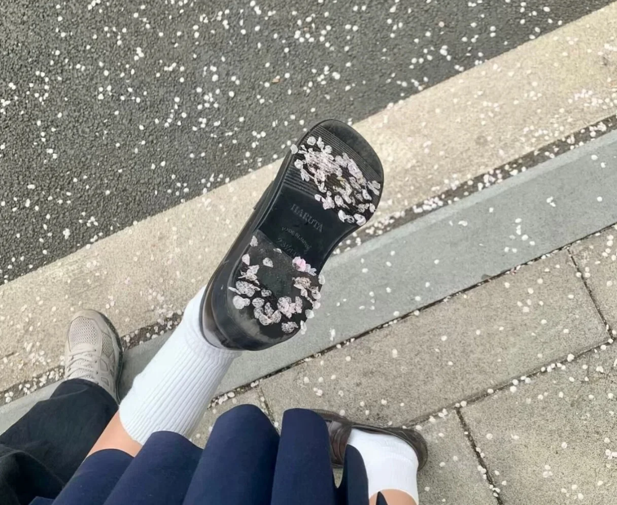 日系风の背景图