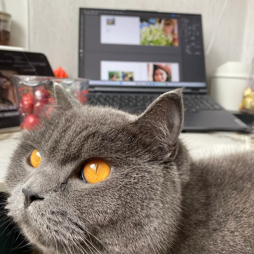 送给朋友的写真集制作中。