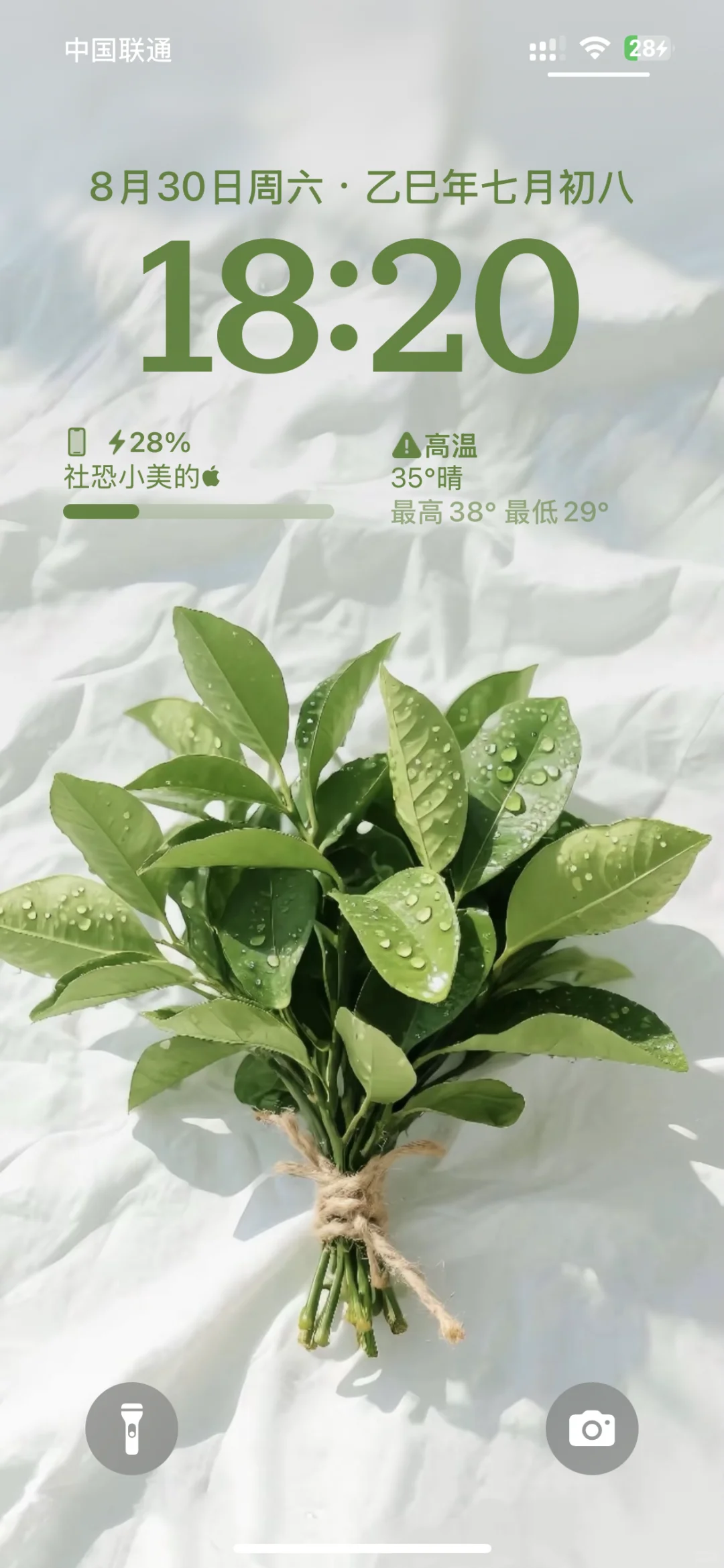 柚子叶,我的神啊!