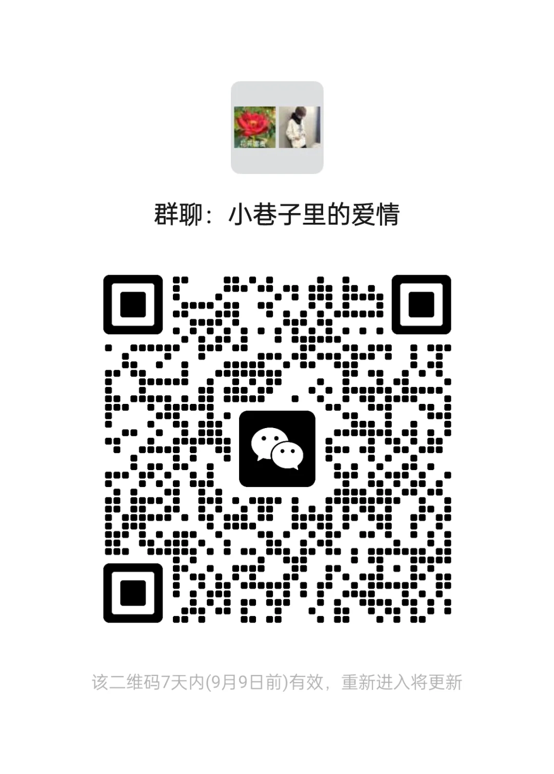 城市群的小巷里的爱情