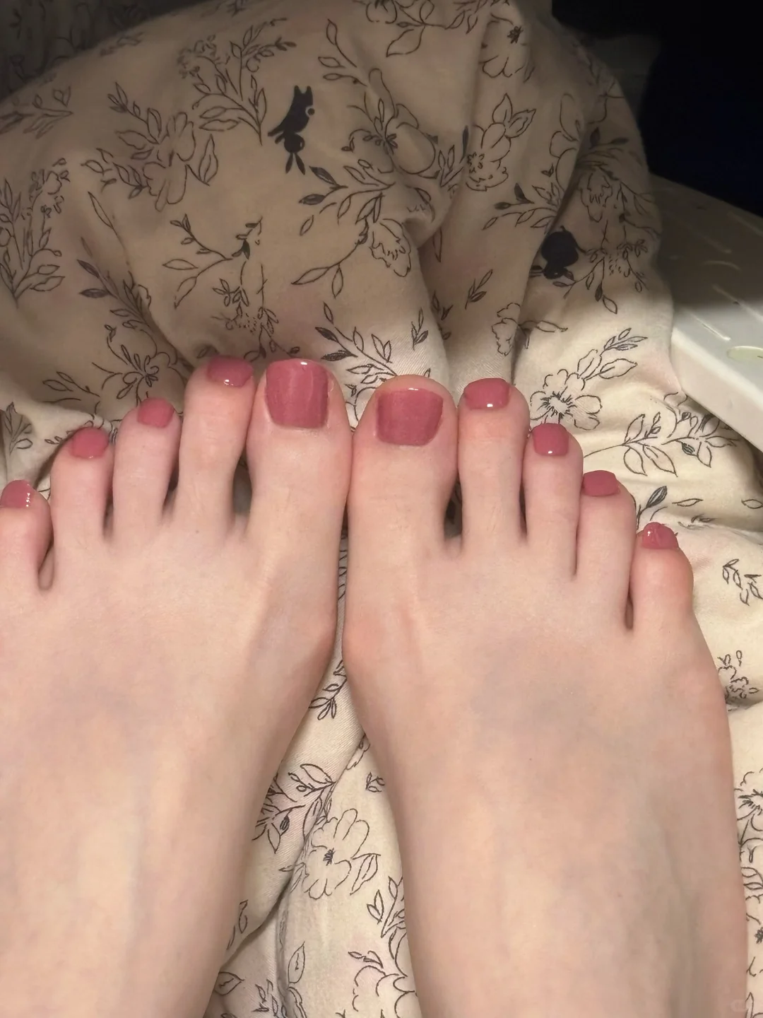 原来蔷薇色这么优雅🤤