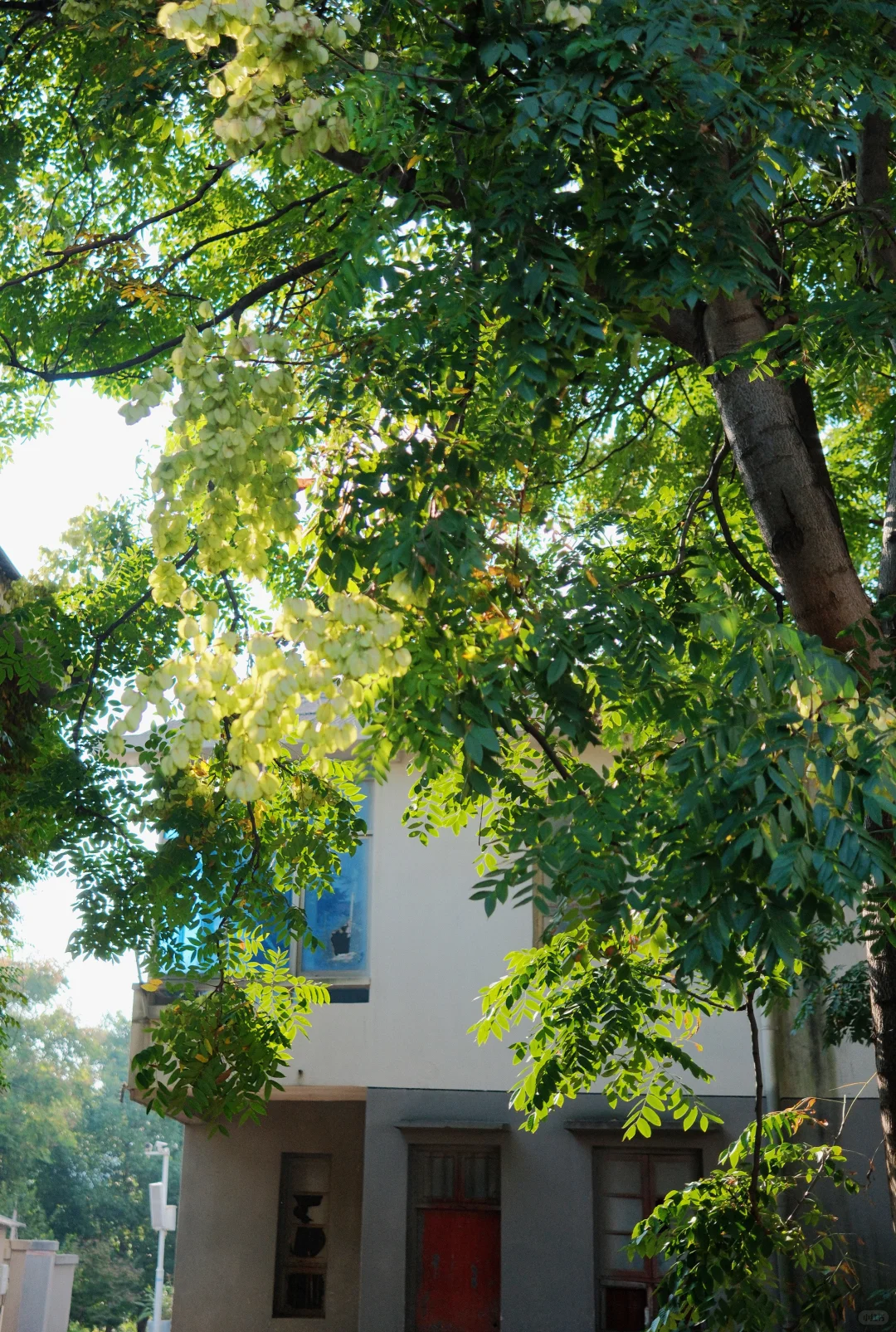 蹲点县城文学及JK服模特