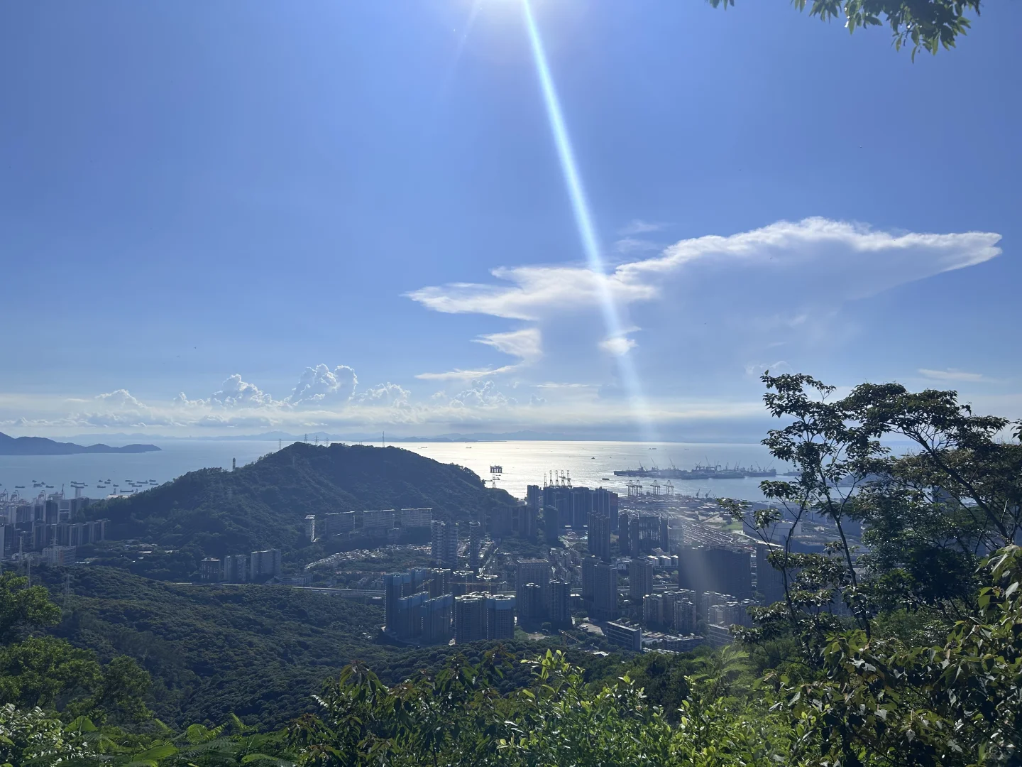 听说第一性照片是这样