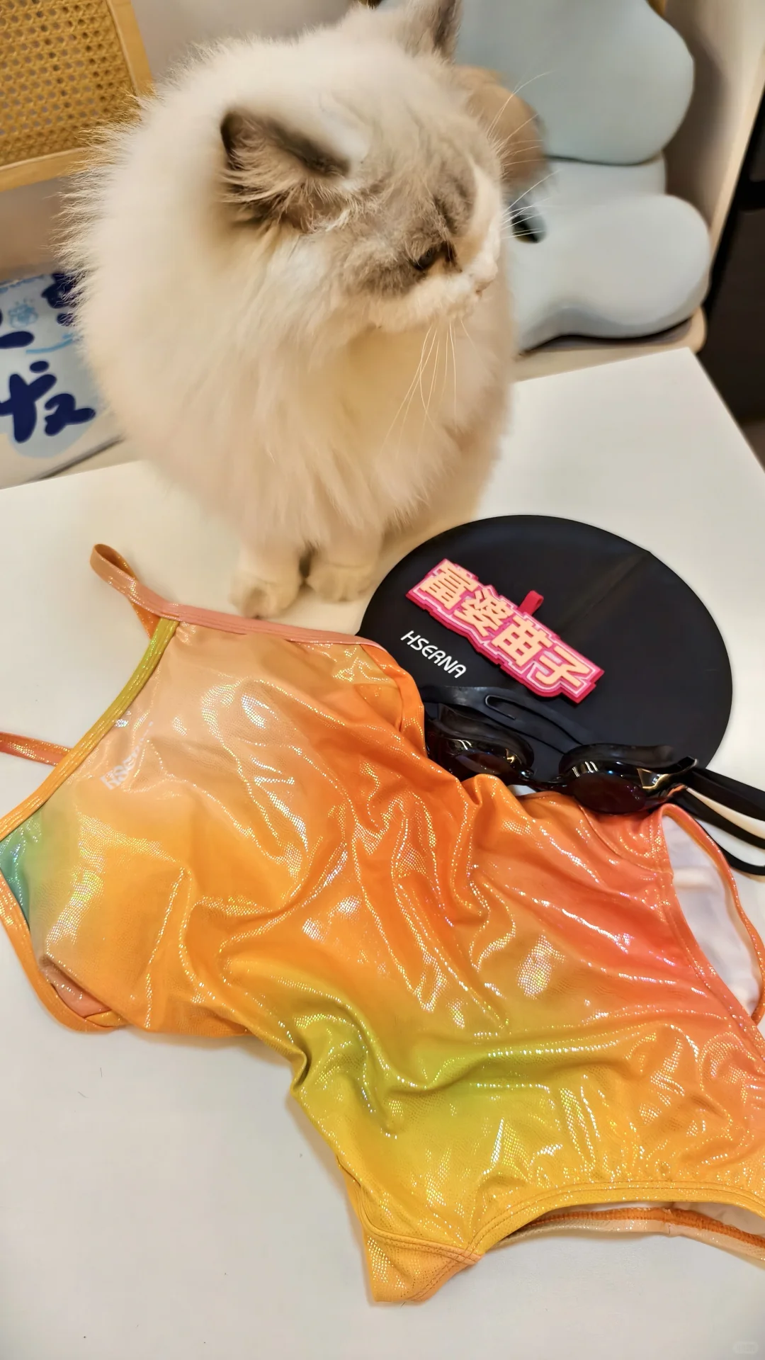 不好意思,姐又美了,是美丽的东南亚热带鱼