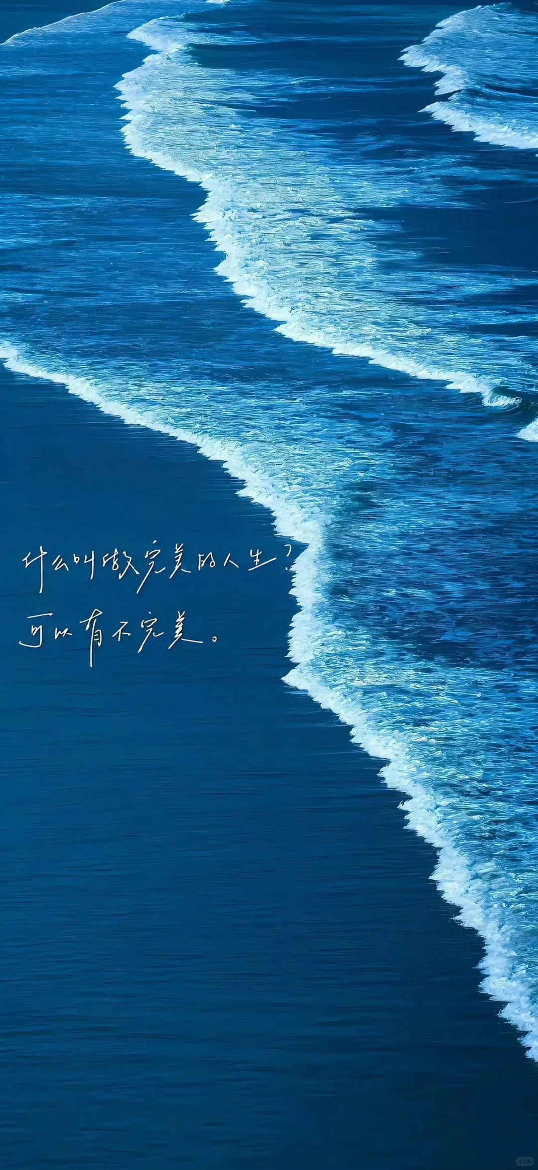 𝙎𝙃𝘼𝙍𝙀🌱 | ios26全屏壁纸