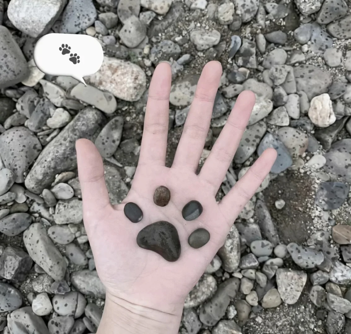 日系风の背景图