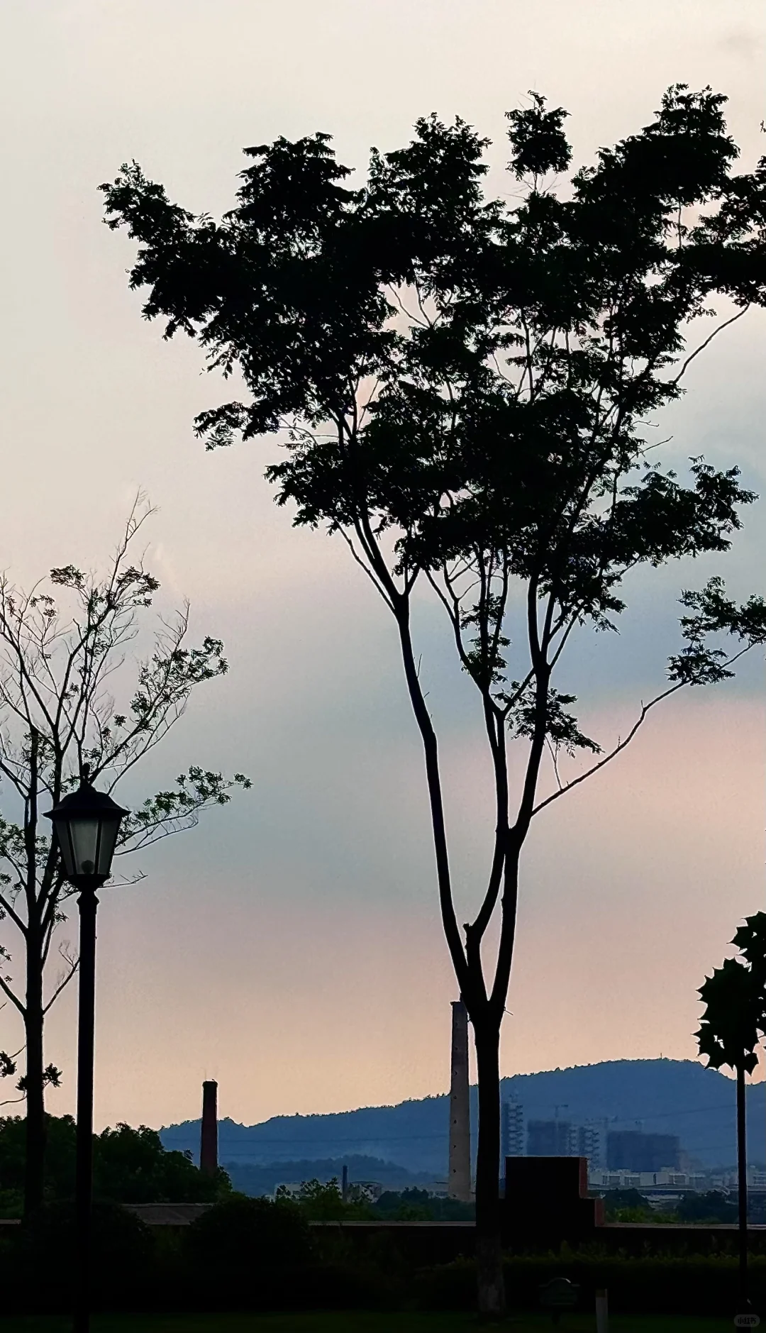 捡个阳光明媚的夏天🍃