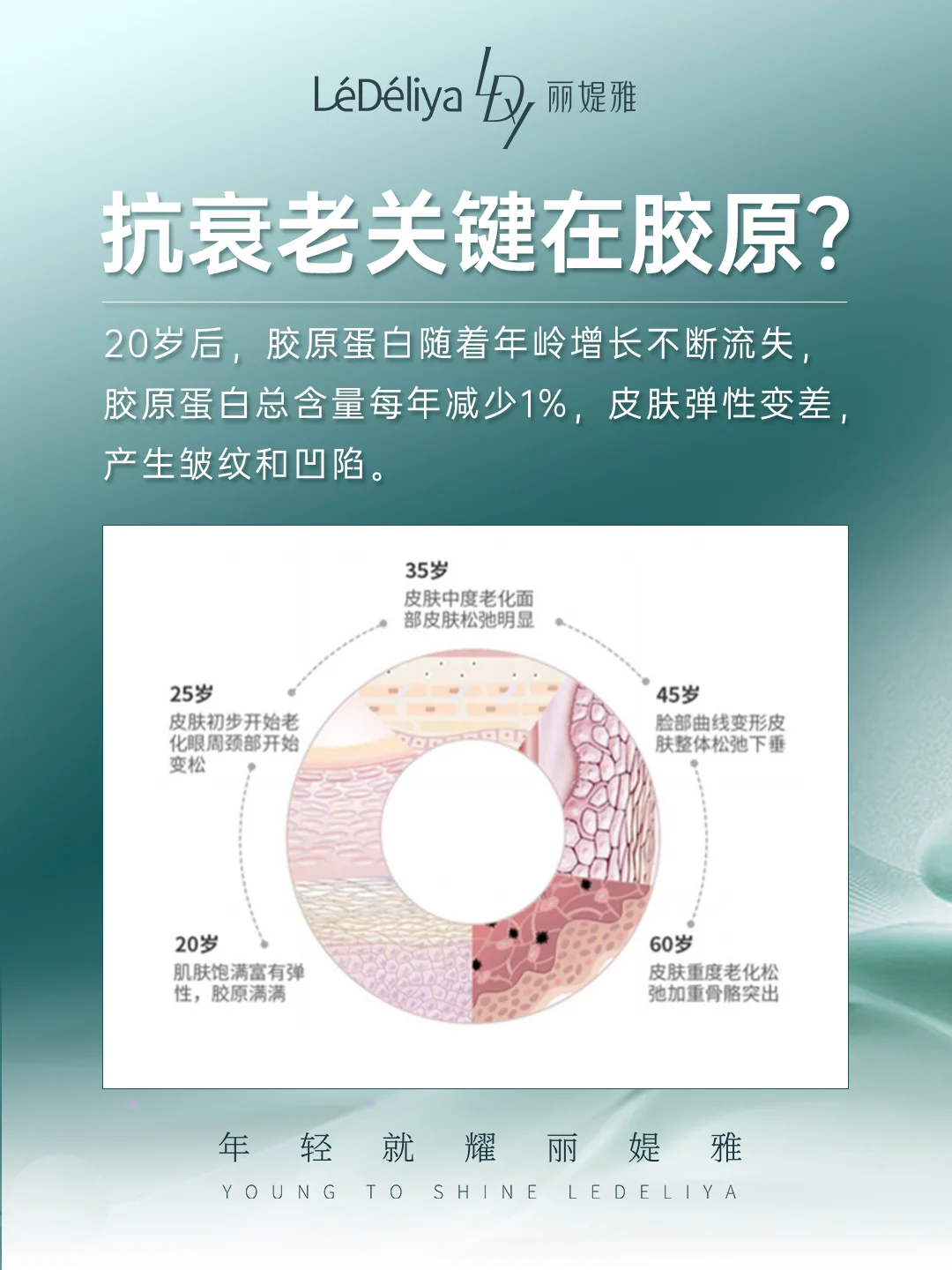 原来青春藏在「胶原」里,胶原 = 抗老!