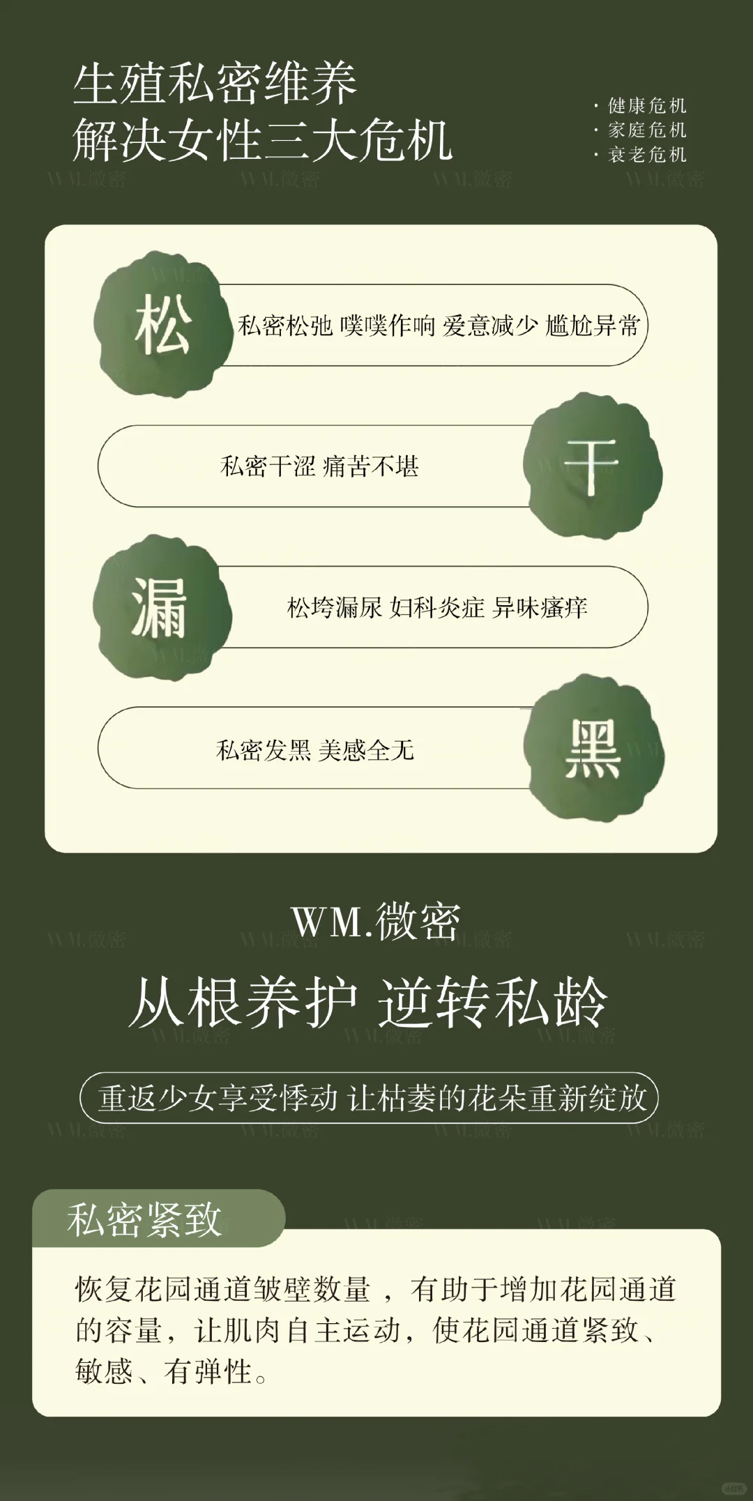 ———女性品牌——— 致敬“她”力量✨