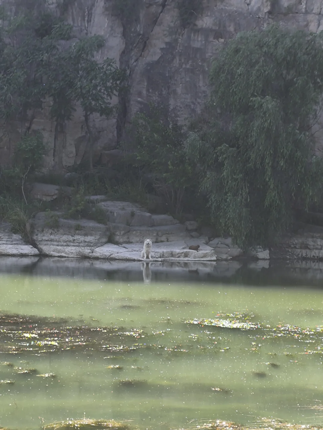 在鹤壁|感受一下天然大氧吧