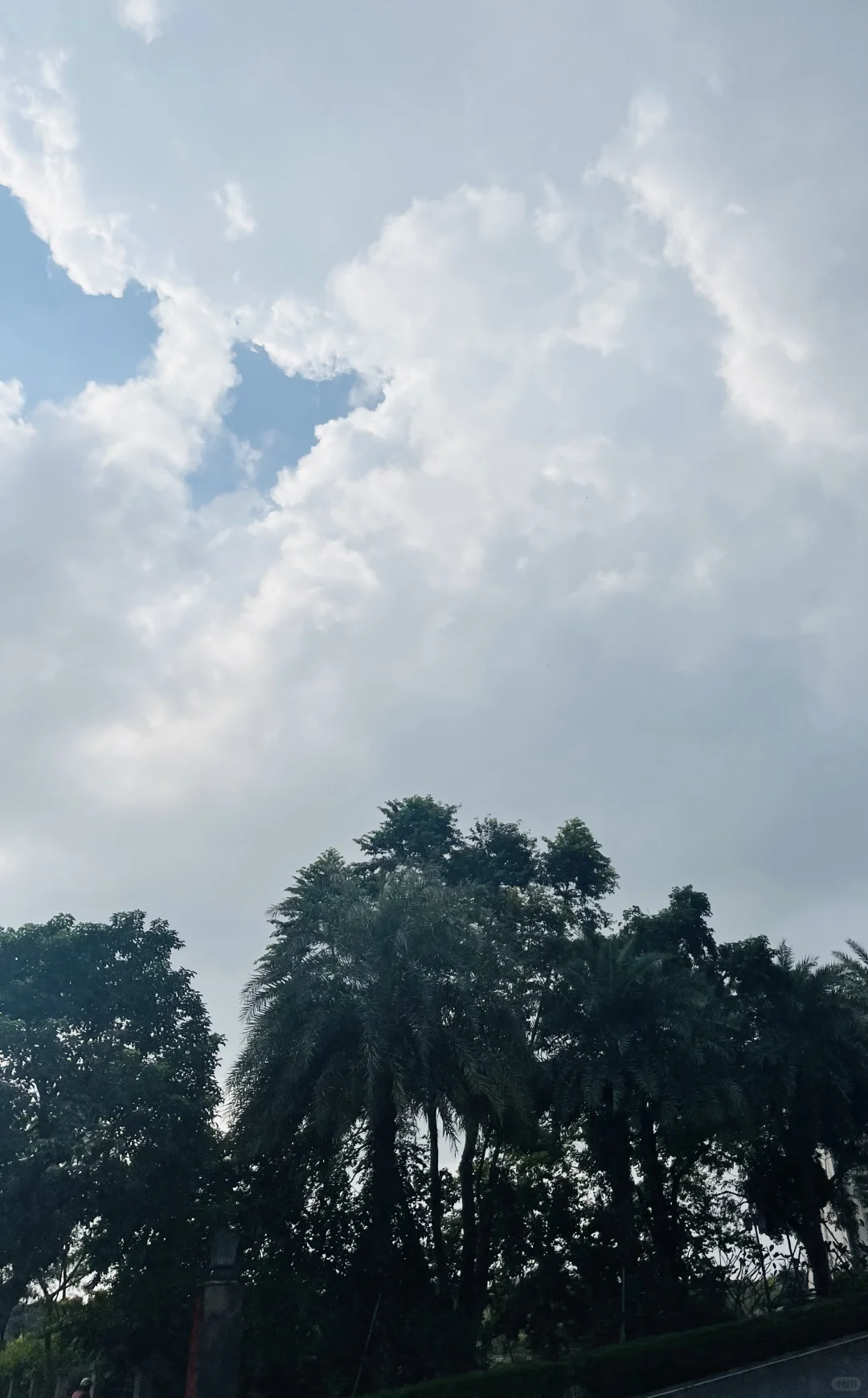 幸福不在于拥有多少，而在于感受多少