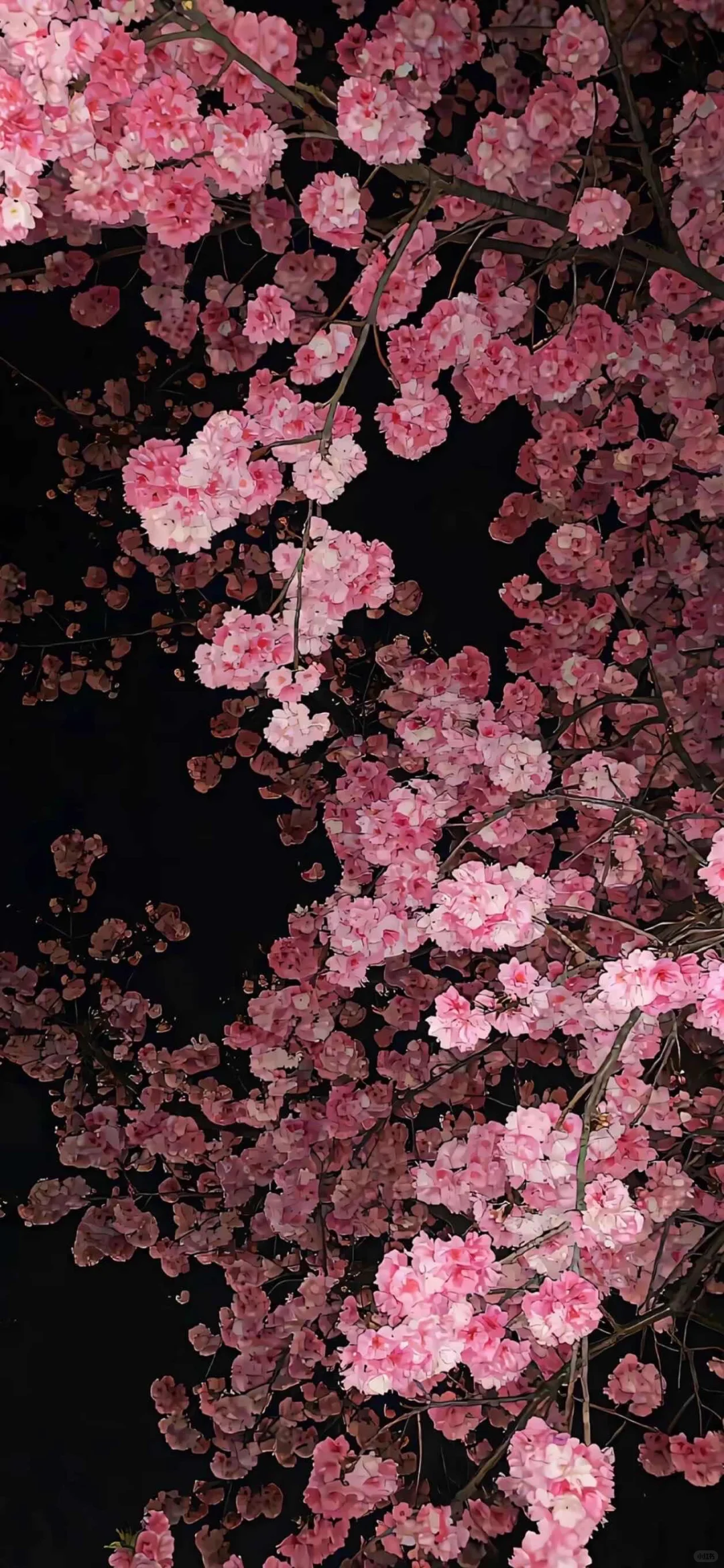 iOS26系统3D壁纸分享