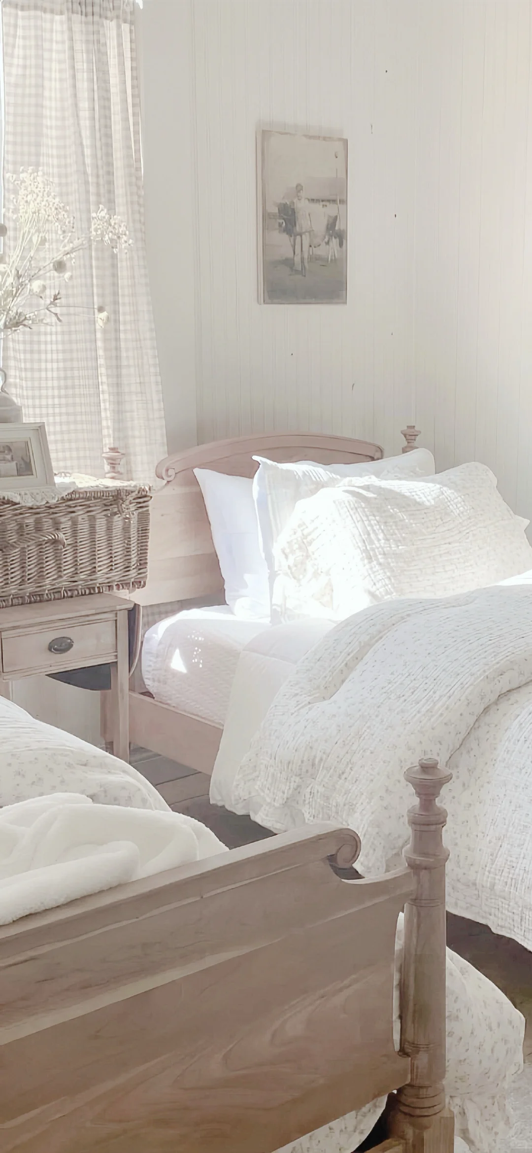 低饱和淡粉Kitty