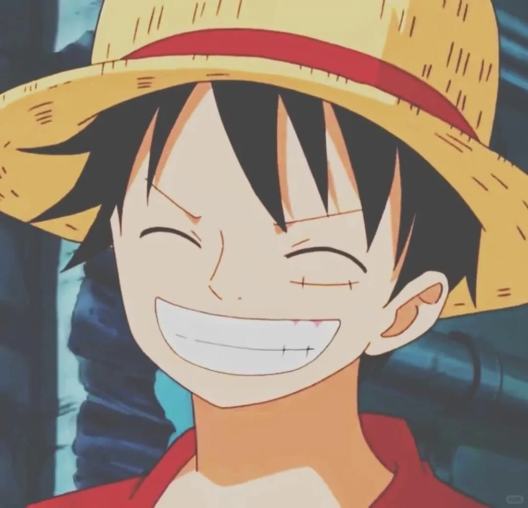 和伙伴一起寻找“ONE PIECE”吧！(>_<)