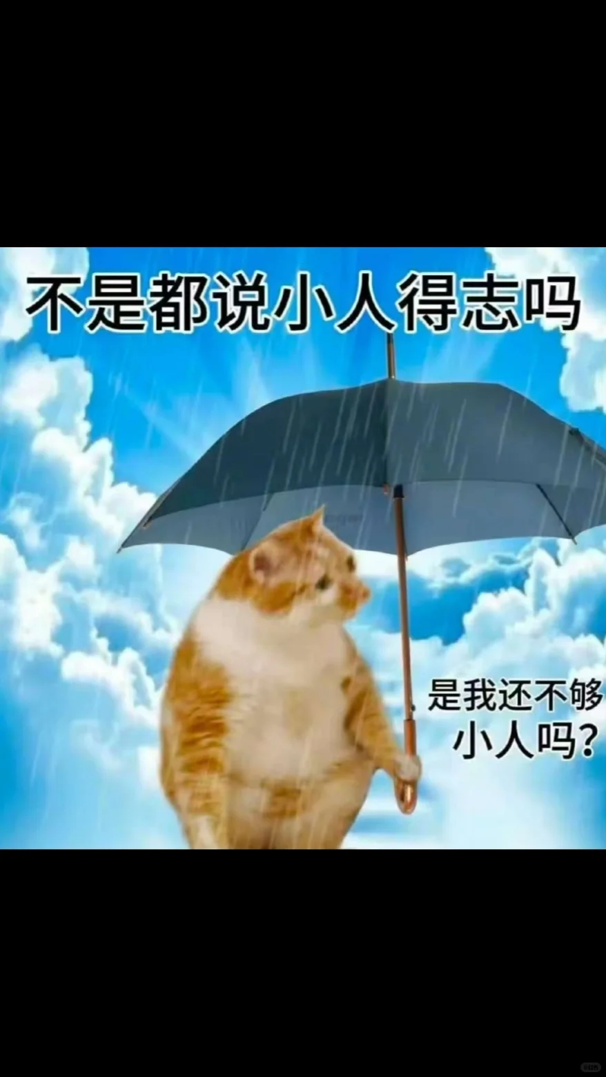 笑得好爽→