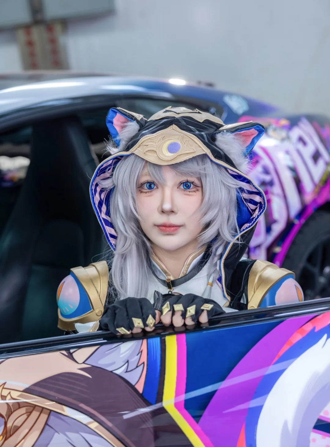 爵士豪猫