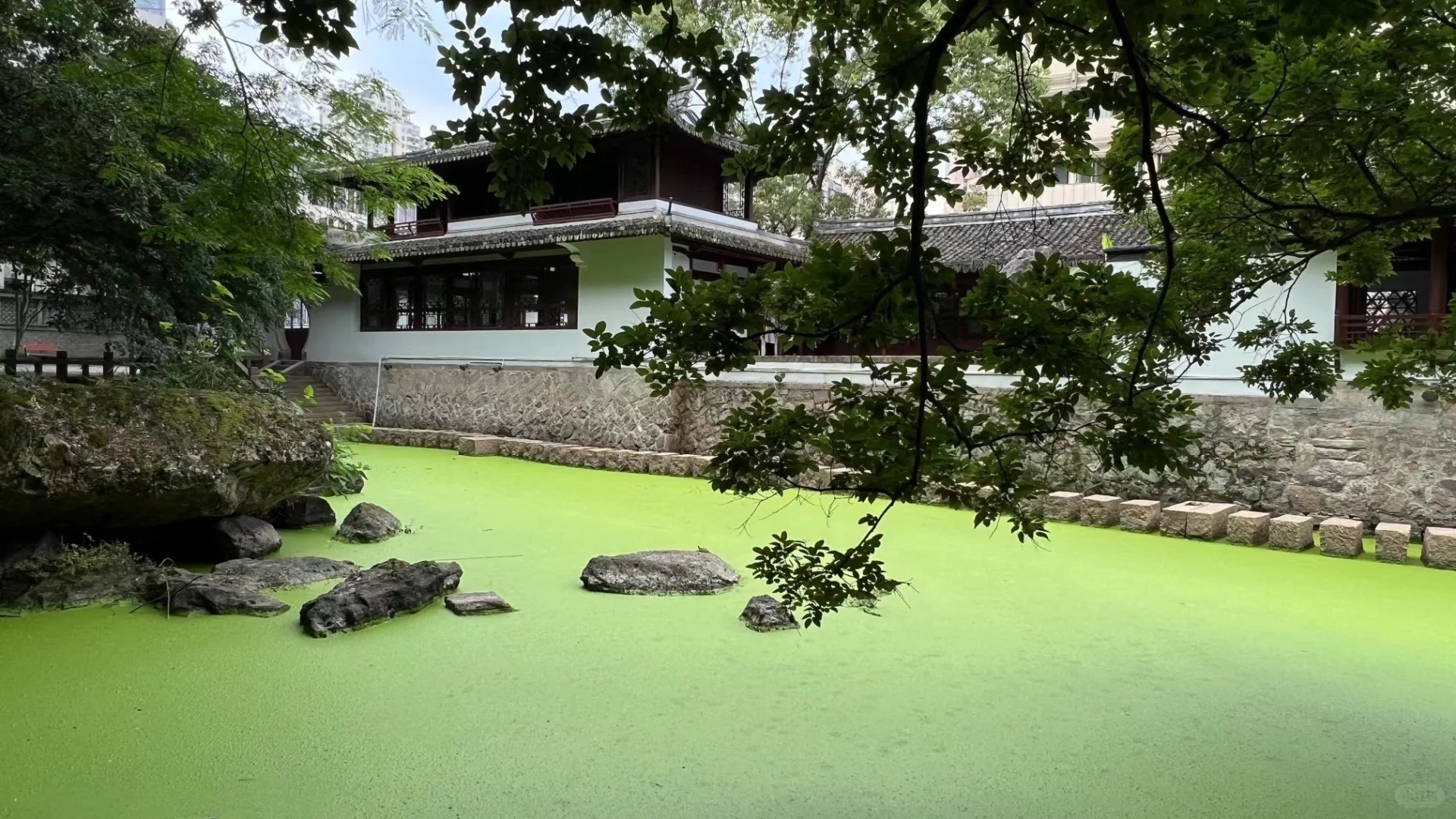 四五月份有点子妩媚动人的中山公园