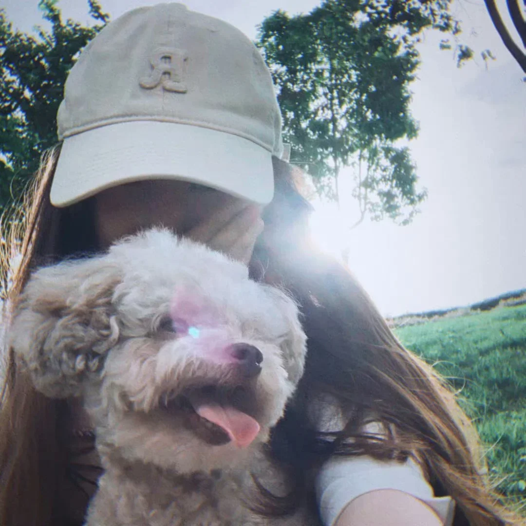 𝘄𝗲𝗰𝗵𝗮𝘁头像丨松弛感,好事连连