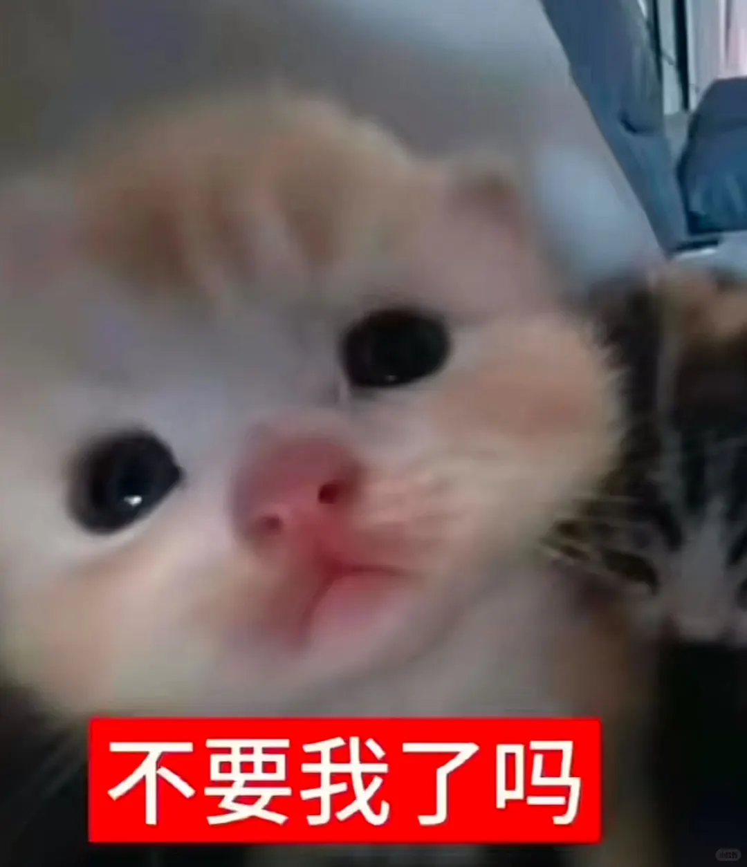 170|140🥛🥛Daily:)