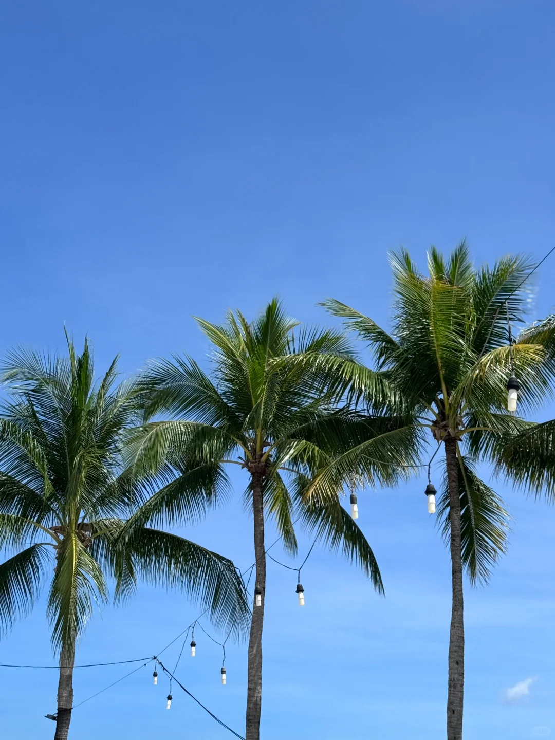 日不落的夏天🌞